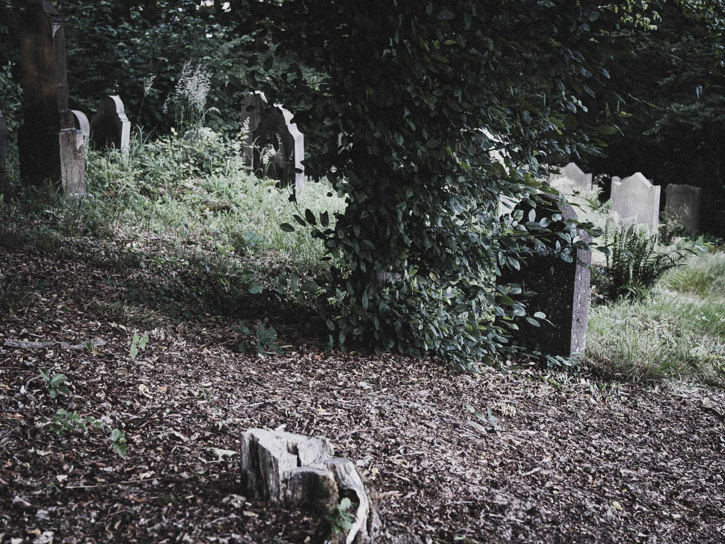 Bodenfeldem Jüdischer Friedhof